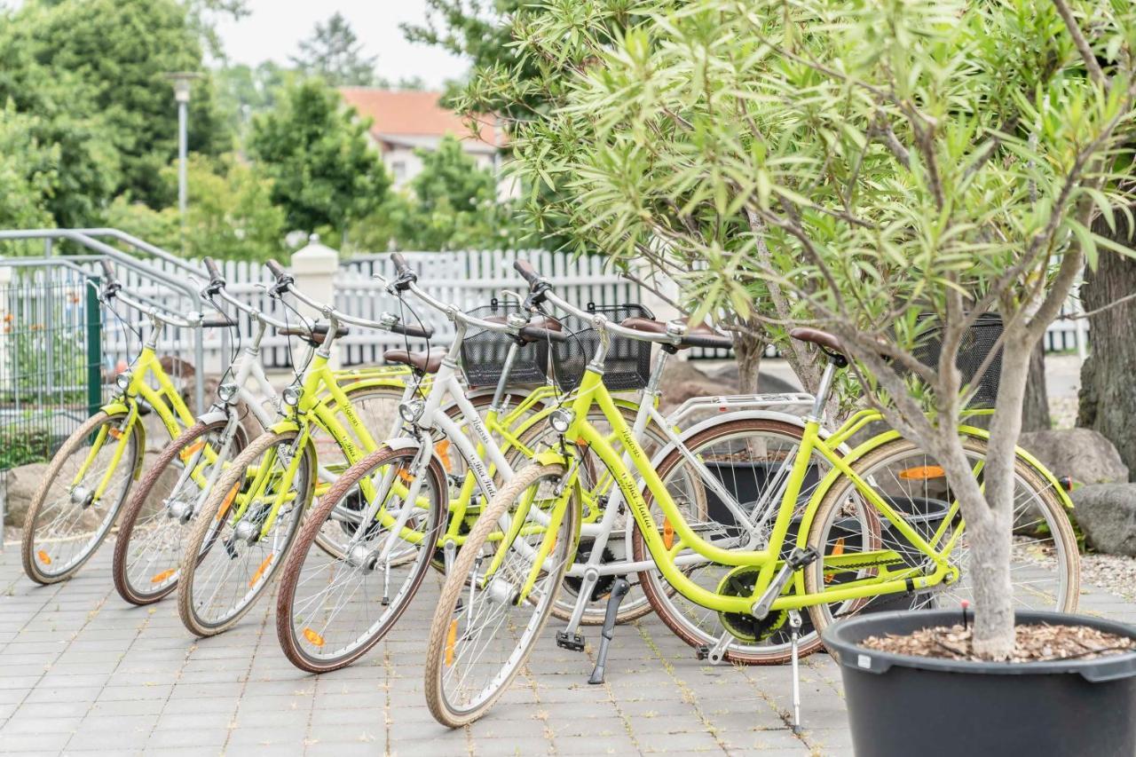Markgraf Hotel Lehnin